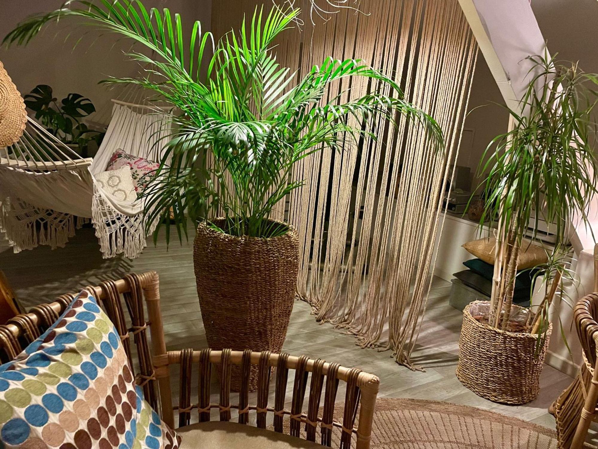 Chambre Boheme Chez Rachel Pau Zewnętrze zdjęcie